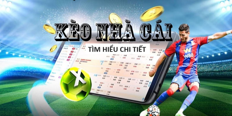 Lịch Euro Hôm Nay Mới Nhất Từ Chuyên Gia Bóng Đá Lịch Euro Hôm Nay Mới Nhất Từ Chuyên Gia Bóng Đá